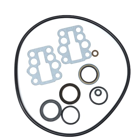Bedford Precision Parts Bedford Precision Repair Kit for King Air Motor 10in - Replacement for Graco 207-730 20-632